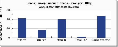 copper and nutrition facts in navy beans per 100g